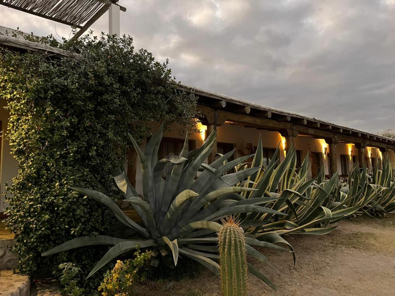 Hotel Texas Cafayate Exterior foto